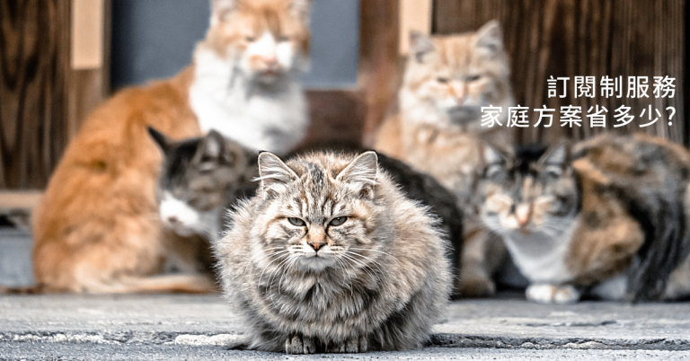[生活]訂閱制服務，家庭方案省多少？ SPOTIFY, YOUTUBE, OFFICE 365, NETFLIX 以及 KKBOX